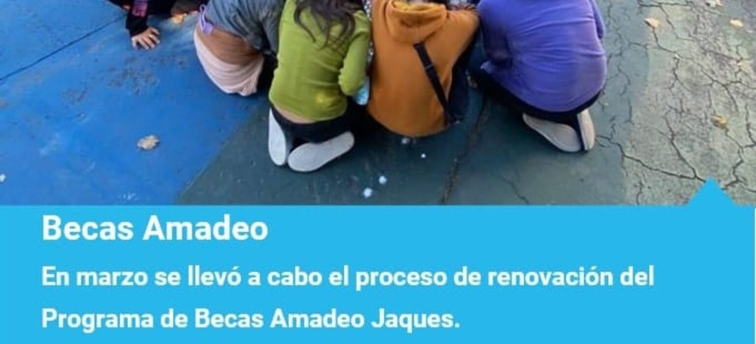 Becas Amadeo